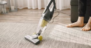 cara Membersihkan karpet yang baik